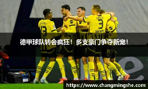 德甲球队转会疯狂！多支豪门争夺新宠！