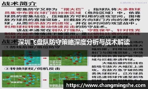深圳飞盘队防守策略深度分析与战术解读
