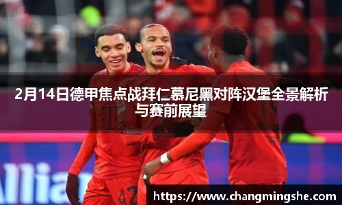 2月14日德甲焦点战拜仁慕尼黑对阵汉堡全景解析与赛前展望