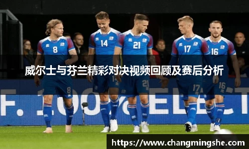 威尔士与芬兰精彩对决视频回顾及赛后分析