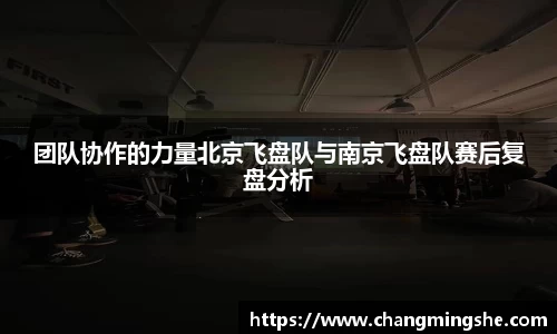 团队协作的力量北京飞盘队与南京飞盘队赛后复盘分析