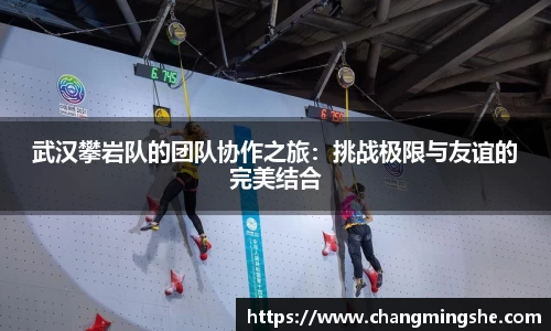 武汉攀岩队的团队协作之旅：挑战极限与友谊的完美结合